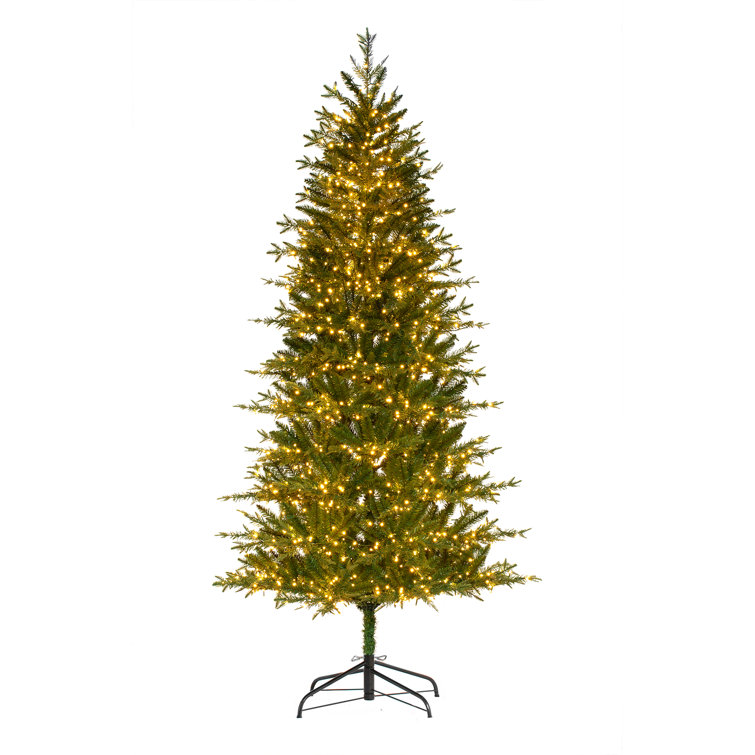 The Twillery Co.® Asheville 7' Green Fir Artificial Christmas Tree with 1800 White Lights